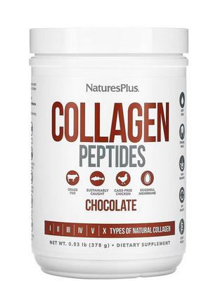 Collagen Peptides (364 g, vanilla) 18+