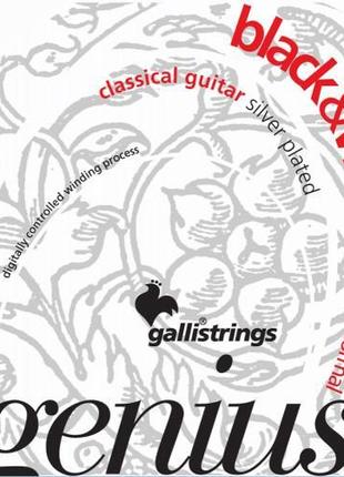 Струни для класичної гітари Gallistrings GR25 NORMAL TENSION