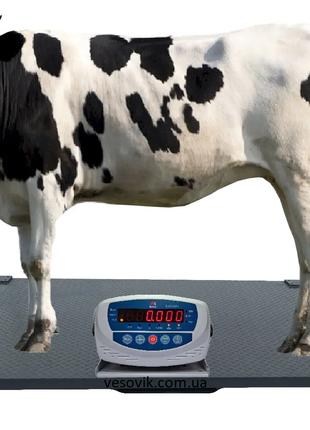 Весы для КРС 1х2м 1000кг без оградки, взвешивание коров, бычко...
