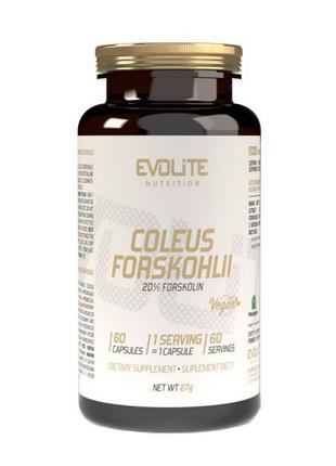 Натуральная добавка Evolite Nutrition Coleus Forskohlii, 60 ка...
