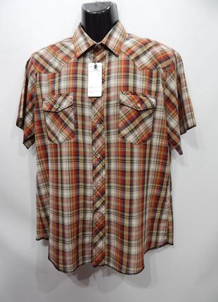 Мужская рубашка с коротким рукавом Wrangler р.50-52 (043RK) (т...