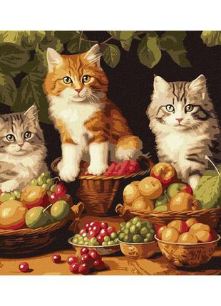 Картина по номерам "Котики и фрукты" 40х50 см