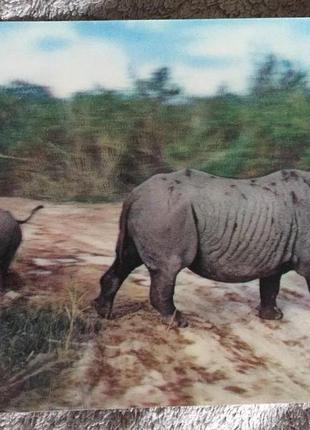 Носорог со своим малышом.Кения.Открытка объёмная