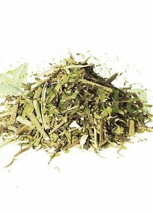 Любисток трава листя 1 кг Код/Артикул 194 1-119С1