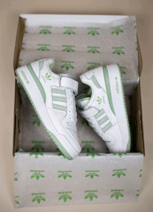 кросівки Adidas Forum 84 Low White Green