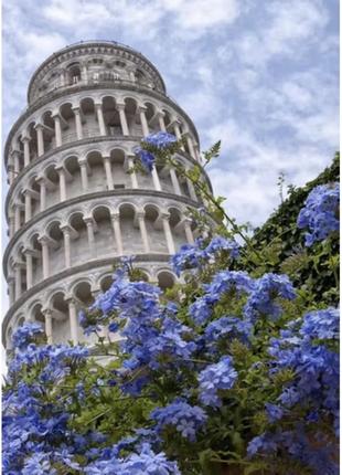 Набір для творчості алмазна картина Пізанська вежа з квітами S...