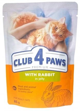 Вологий корм Club 4 Paws Premium для котів Кролик в желе Премі...
