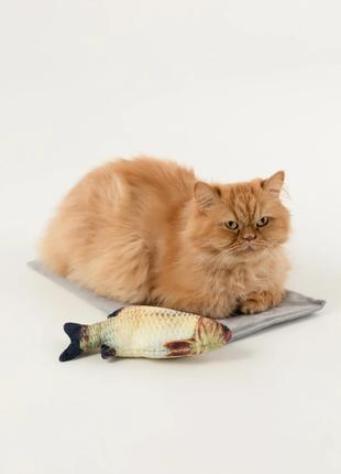 М'яка іграшка Риба для кота КАРАСЬ KUMAOCHONGWUYONGPIN KM52656...
