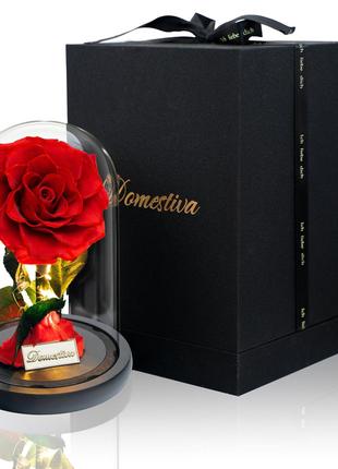 Вечная настоящая роза в стеклянном куполе в подарочной коробке