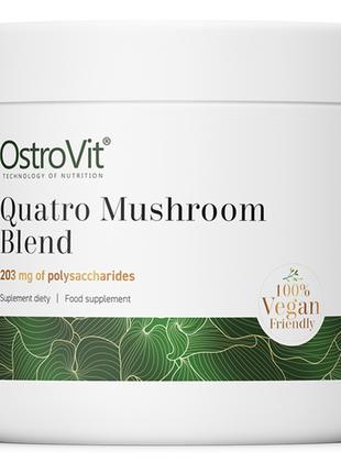 Натуральная добавка OstroVit Vege Quatro Mushroom Blend, 100 г...