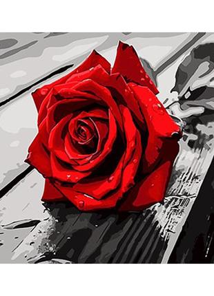 Картина за номерами Strateg ПРЕМІУМ Червона троянда з лаком та...