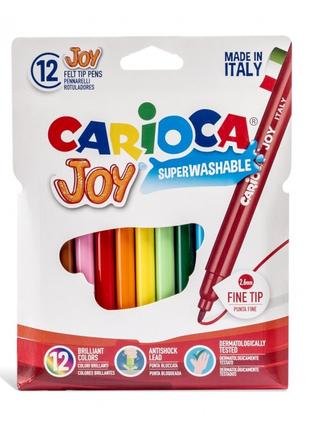 Фломастеры для рисования Joy 40531 12 цветов