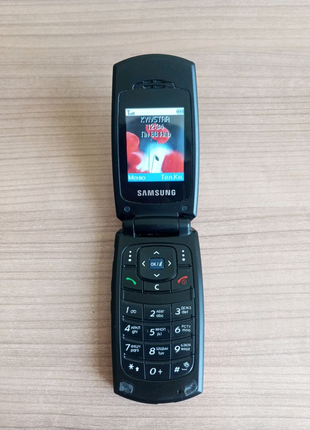 Мобильный телефон Samsung SGH-X160