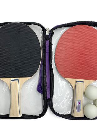Набір для настільного тенісу (2 ракетки, 3 кульки) Newt VITOR ...