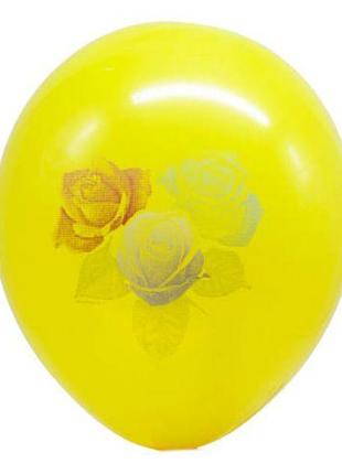 Кульки "День народження" (5 шт), мікс видів