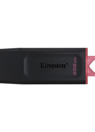 Флешка ЮСБ King DT Exodia USB Flash Drive 3.2 256Гб Black / Pink