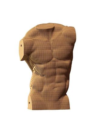 3D Пазл Картонный Cartonic Мужская Фигура Торс 101 деталь