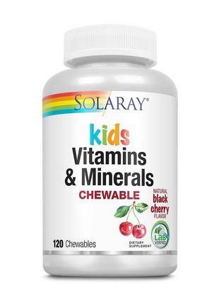Kid`s Vitamin & Minerals (120 chewables, black cherry) 18+