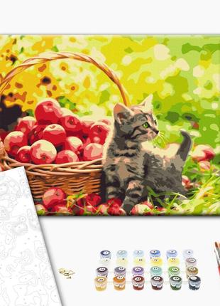 Картина по номерам "Яблочный котик", "BS52657", 40×50 см