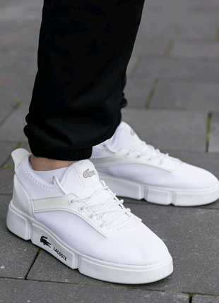 Чоловіче взуття Lacoste  White