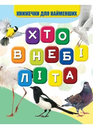 Моя первая книжечка Кто в небе летает VR06041708, 10 страниц