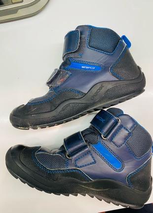 Демісезонні черевики Ботинки geox 32