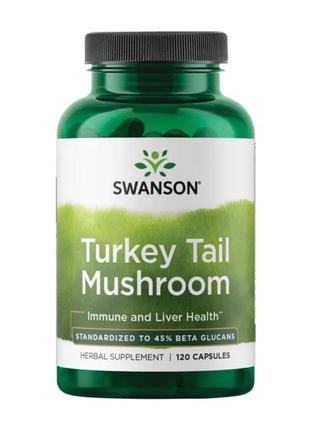 Turkey Tail Mushroom 500mg - 120 caps