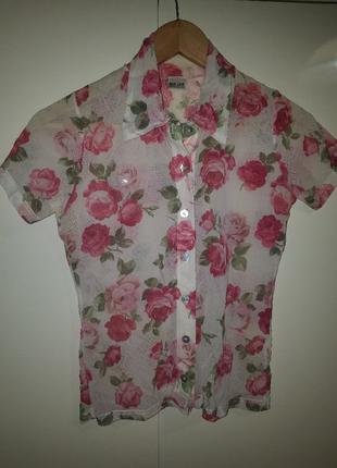 Красивая блузка New-Look Англия