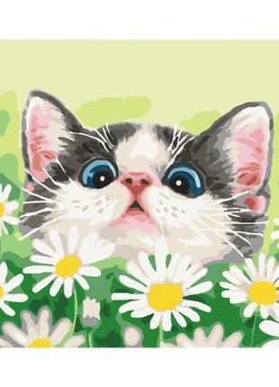 Картина по номерам "Котик в ромашках" Brushme BS51569 40х50 см