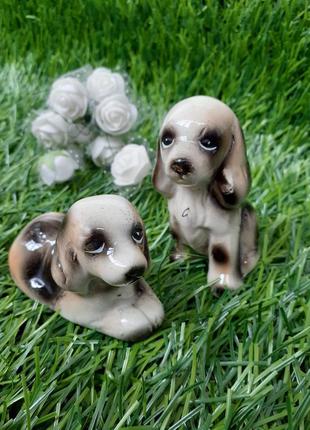 Статуэтки собачки щенки фигурки собаки гдр фарфоровые покрыты ...