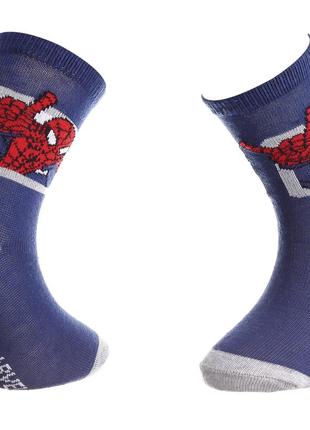 Носки Marvel Spider-Man Ds Carre 23-26 blue 43890147-1