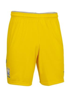 Мужские шорты Joma желтый XL AT102024A907 XL