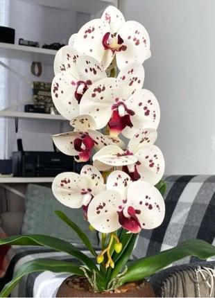 Орхидея из латекса, латексна орхідея