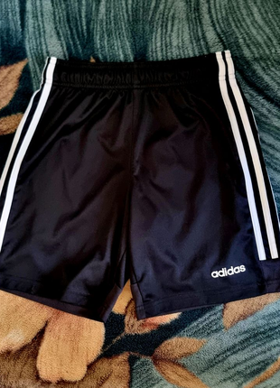 Шорти Adidas