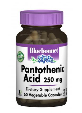 Витамин Bluebonnet Nutrition Пантотеновая Кислота (B5) 250мг, ...