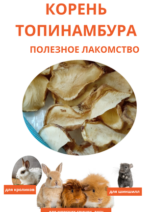 Лакомство (корм) для грызунов, корень топинамбура,100г