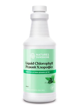 Жидкий Хлорофилл, Chlorophyll Liquid, Хлорофилл жидкий, 475 мл...