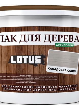 Цветной Лак для Дерева Lotus Глянец Канадская сосна 5 л