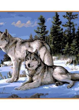 Картина за номерами Babylon NB236 Вовки в снігу 40х50см у коро...