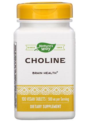 Холин Nature's Way Choline 500 mg 100 Vegan Tablets