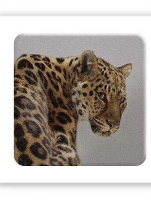 3D-стікер "Wild cat" [tsi238063-ТSІ]