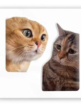 3D-стікер "Коти меми" [tsi238070-ТSІ]