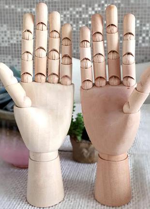 Деревянная рука манекен (2 шт.) RESTEQ 25см для держания товар...