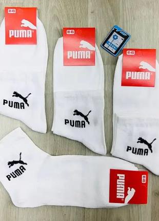 Білі носки Puma