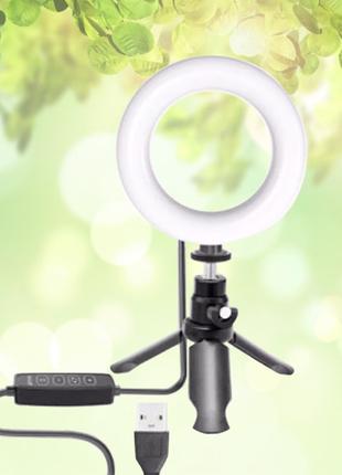 Маленькая кольцевая LED лампа светодиодная от USB 16 cm 6" Ear...