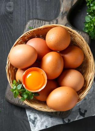 Продаются домашние куриные яйца (полезные, без ГМО).