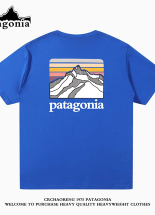 Patagonia T-Shirt