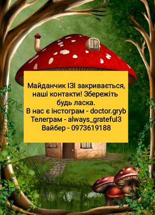 60 капсул Пантерного Мухомору, 60 Капсул пантерного мухомору