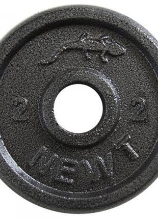 Диск сталевий Newt Home 2 кг, діаметр - 28 мм