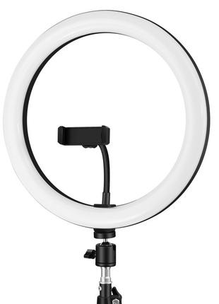 Кольцевая светодиодная LED лампа Arc Ring 10" + tripod 2.1m